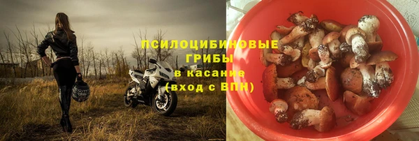 мдпв Балабаново