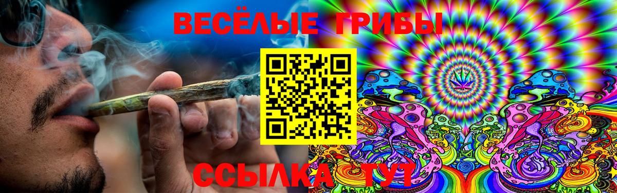 Георгиевск  Галлюциногенные грибы MAGIC MUSHROOMS  Вход с VPN  где продают наркотики  Псилоцибиновые грибы ЛСД 