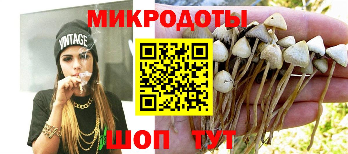 Галлюциногенные грибы ЛСД Георгиевск